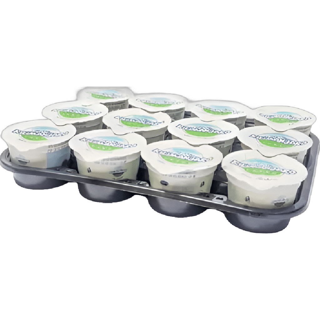 kilimanajro VANILLA (100 ML CUPS x 12 )