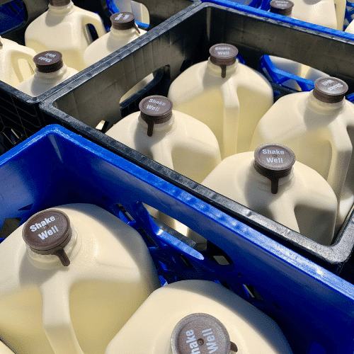 Dairy