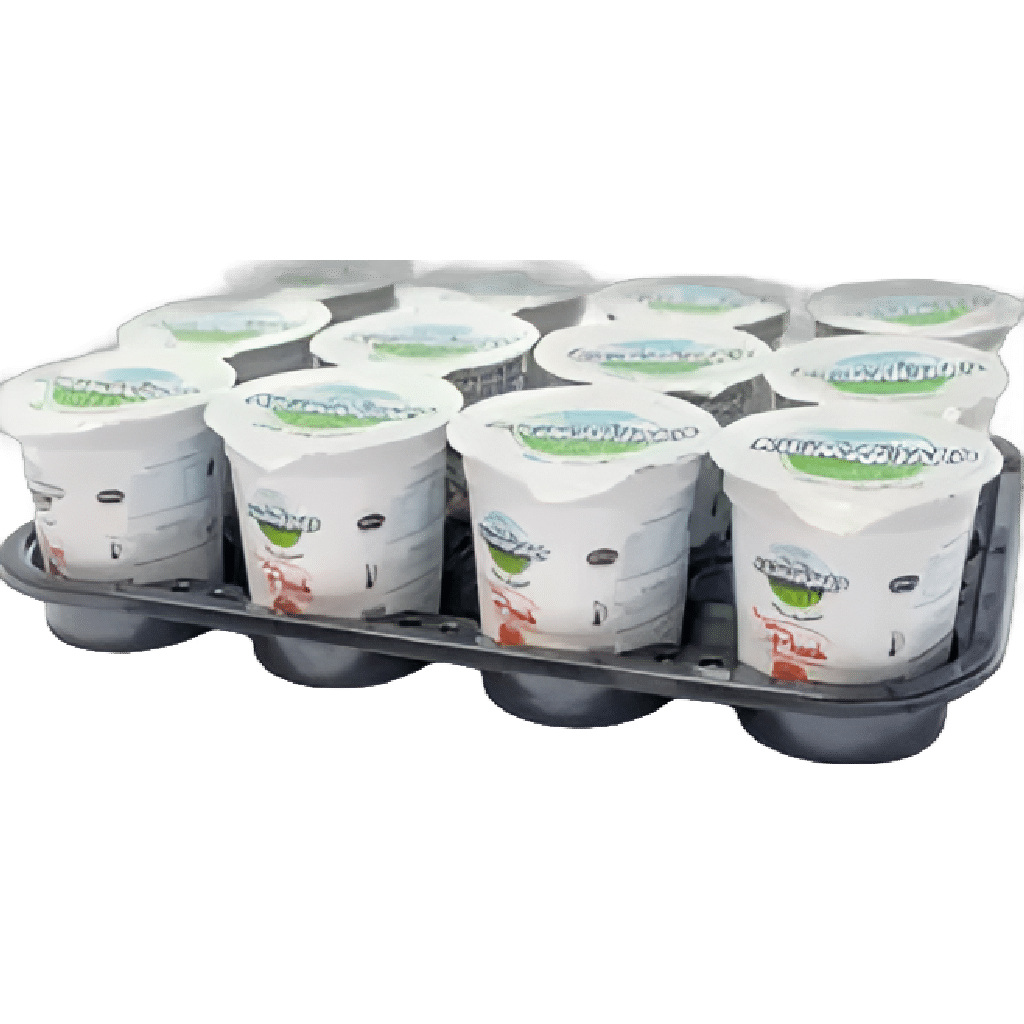 kilimanajro PEACH (150 ML CUPS x 12 )