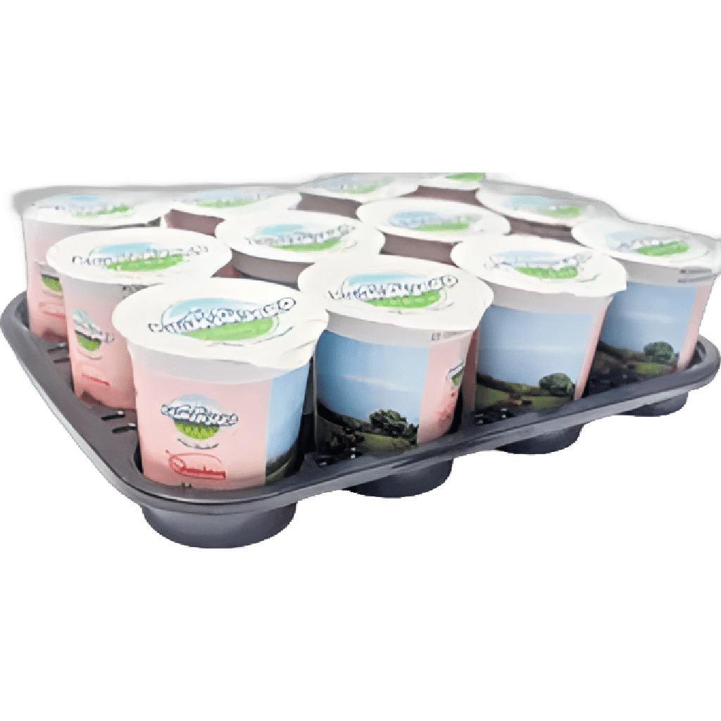 kilimanajro STRAWBERRY (150 ML CUPS x 12 )